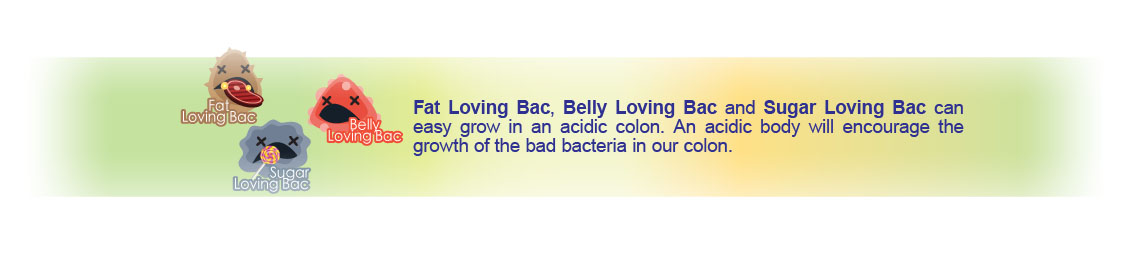 Fat Loving Bac, Belly Loving Bac and Sugar Loving Bac easy grow in an acidic colon. An acidic body will encourage the growth of the bad bacteria in our colon.